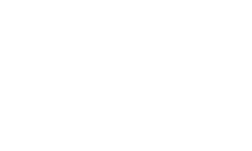 Basa Motors LTD